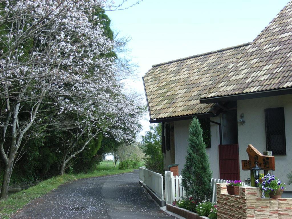 Minshuku Hoshi No Sumika Hotel Shibushi Екстериор снимка